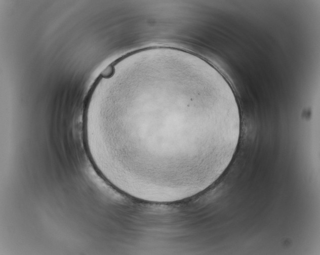 X0000113931100200910231916