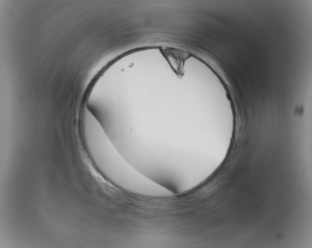 X0000113931101200910231916