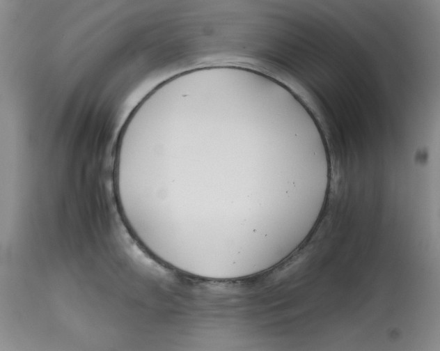 X0000113931102200910231916