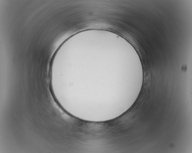 X0000113931103200910231916