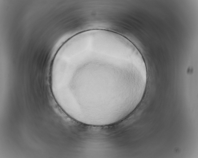 X0000113931104200910231916