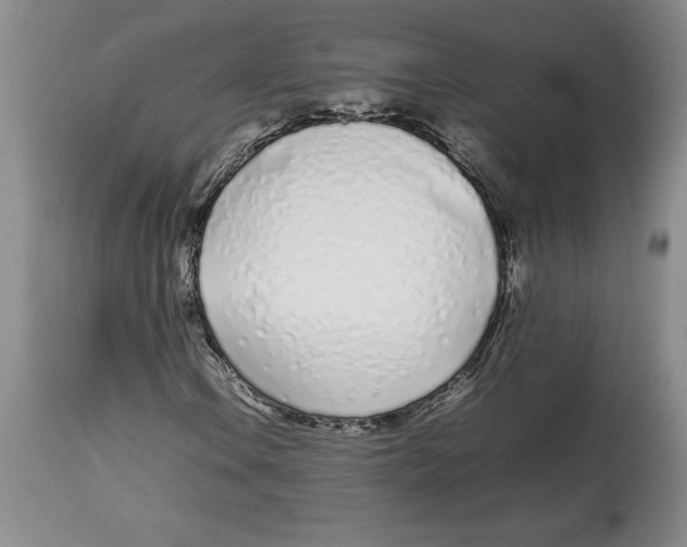 X0000113931106200910231915