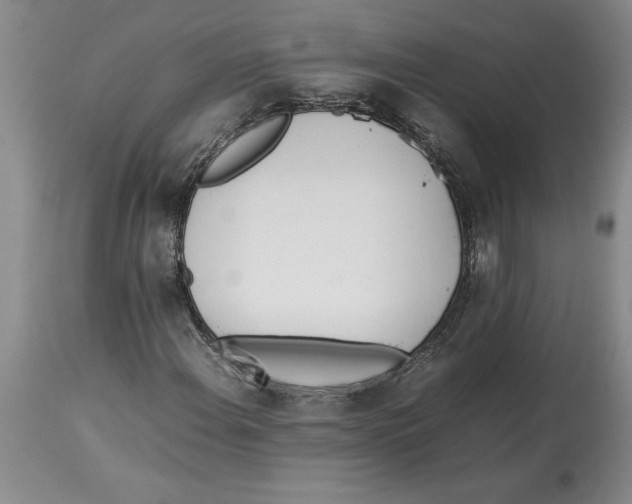 X0000113931108200910231915