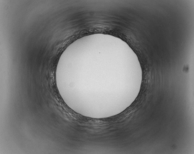 X0000113931109200910231915