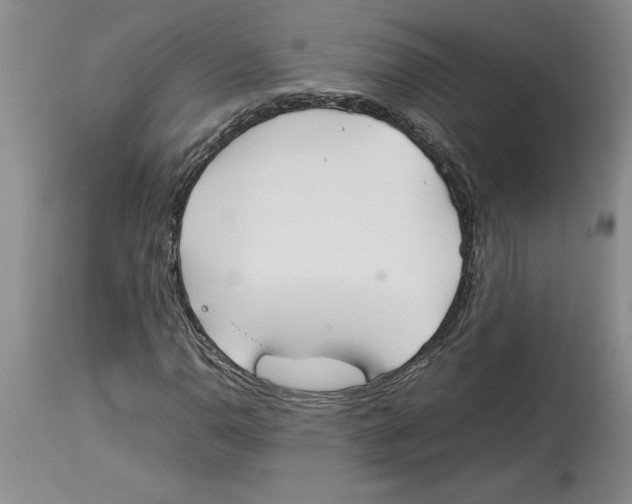X0000113931110200910231915