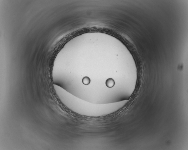 X0000113931112200910231915