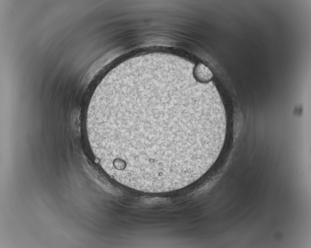 X0000113931113200910231915