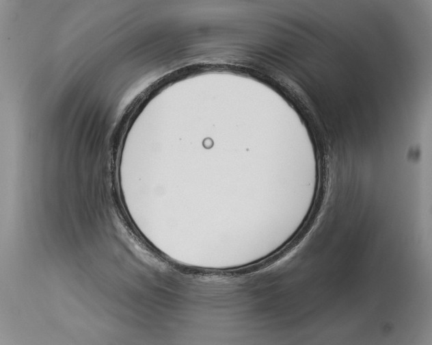 X0000113931114200910231915
