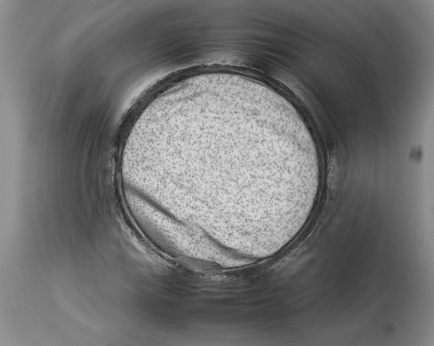 X0000113931115200910231915