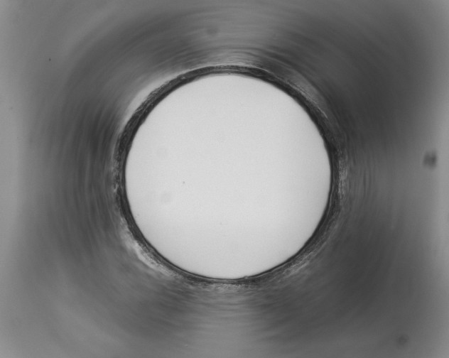 X0000113931116200910231915