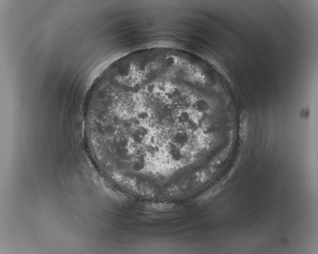 X0000113931117200910231915