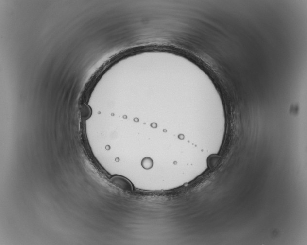 X0000113931118200910231915