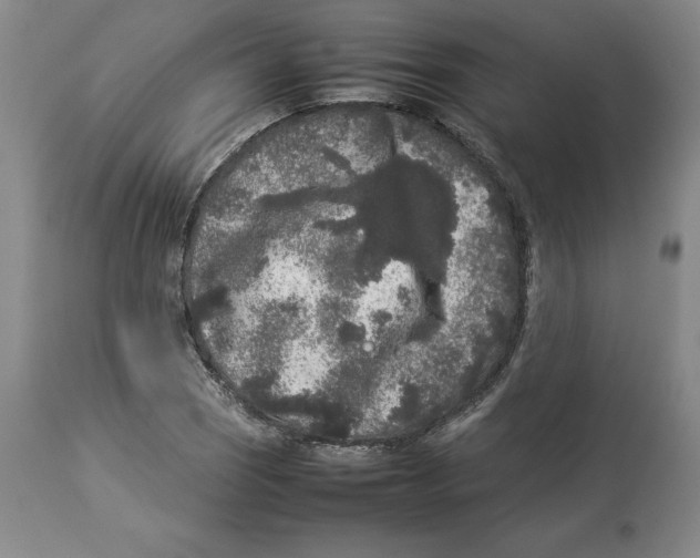 X0000113931121200910231915