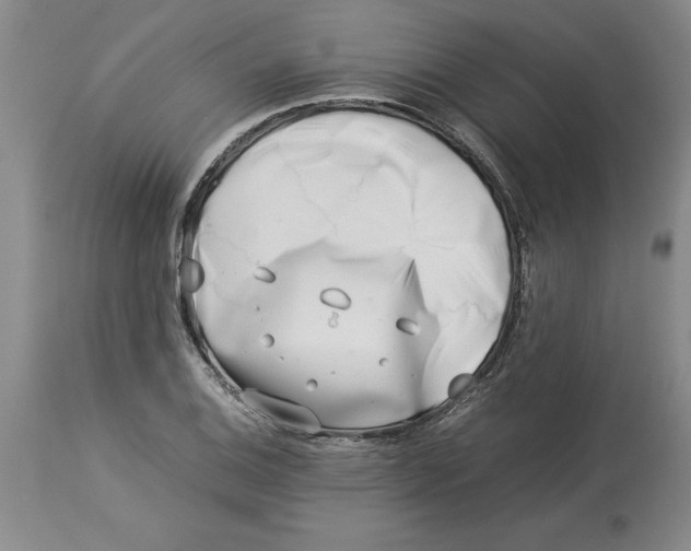 X0000113931124200910231915