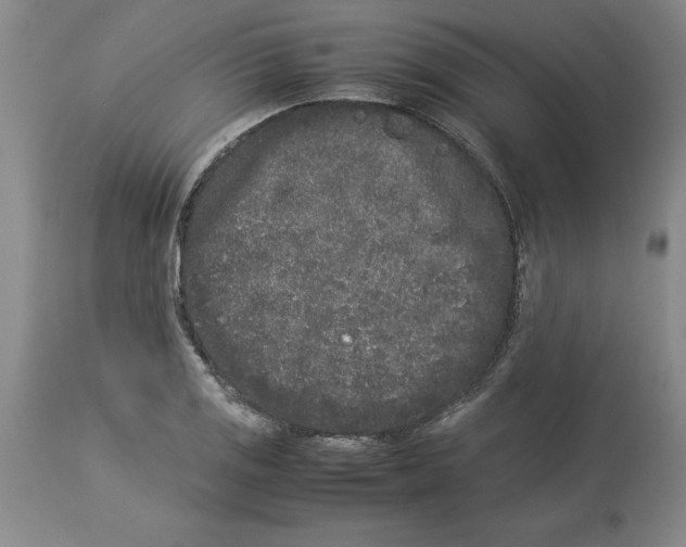 X0000113931125200910231915