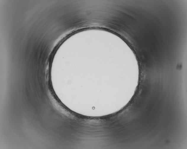 X0000113931126200910231915