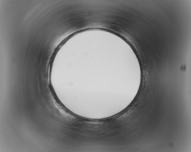 X0000113931127200910231915