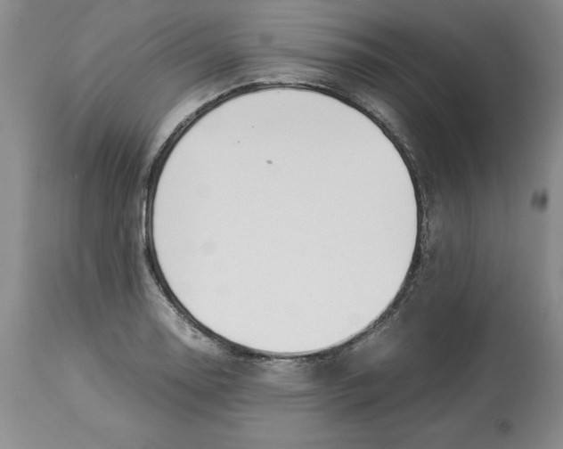 X0000113931130200910231915