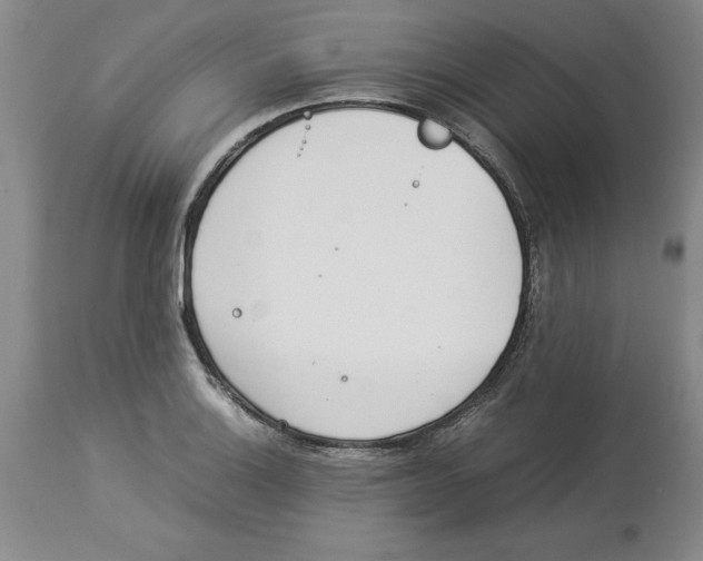 X0000113931132200910231915