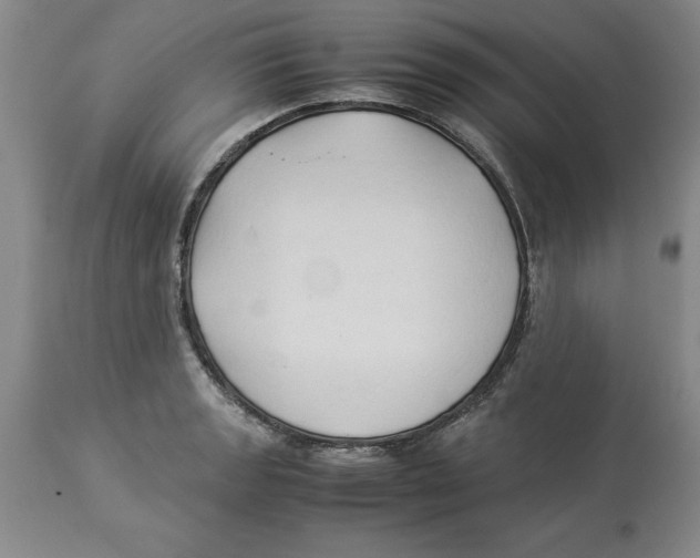 X0000113931133200910231915