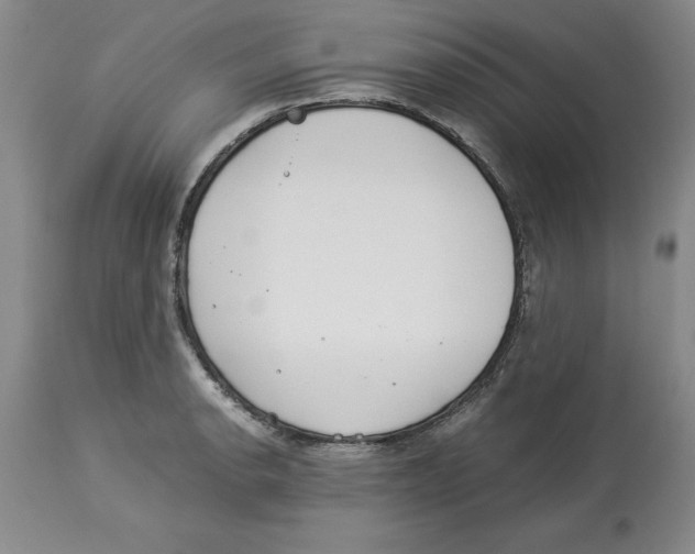 X0000113931134200910231915