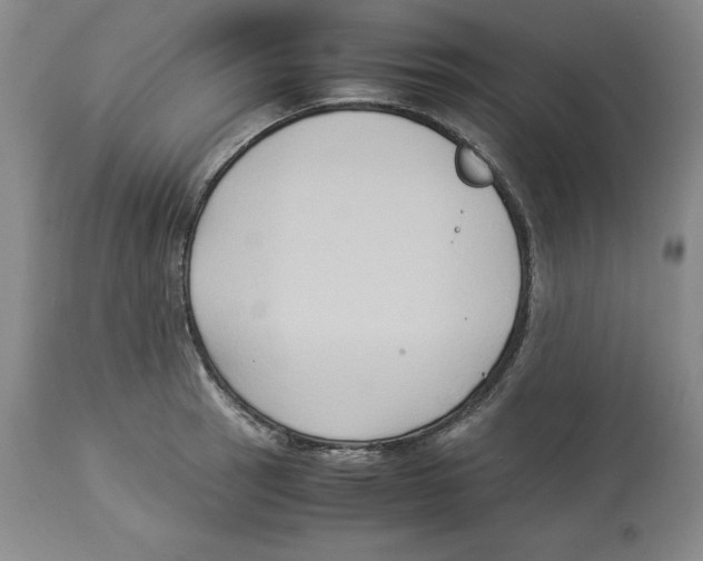 X0000113931137200910231915
