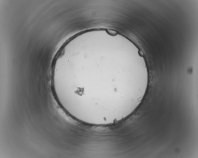 X0000113931140200910231915