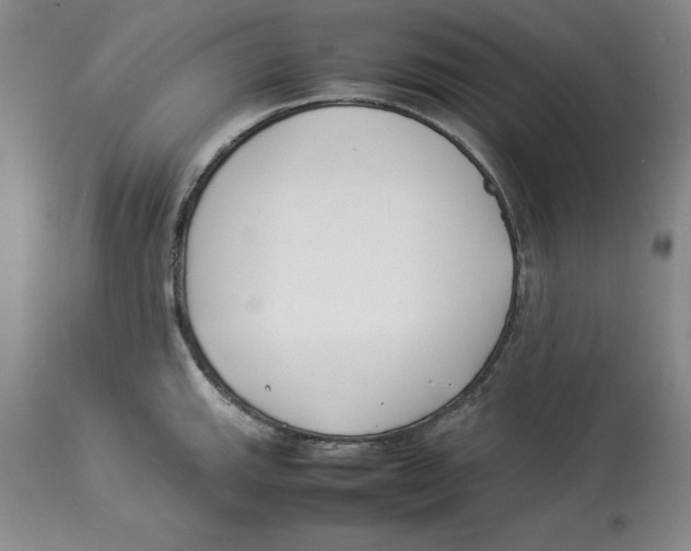 X0000113931143200910231915