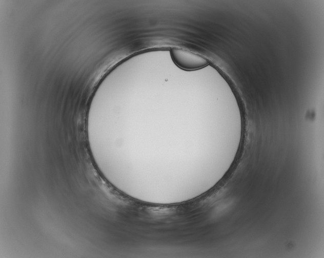 X0000113931145200910231916