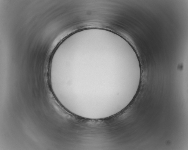 X0000113931146200910231916
