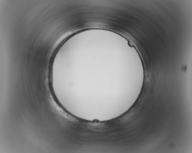 X0000113931147200910231916