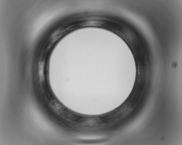 X0000113931150200910231916