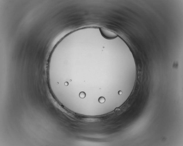 X0000113931151200910231916