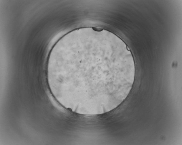 X0000113931152200910231916
