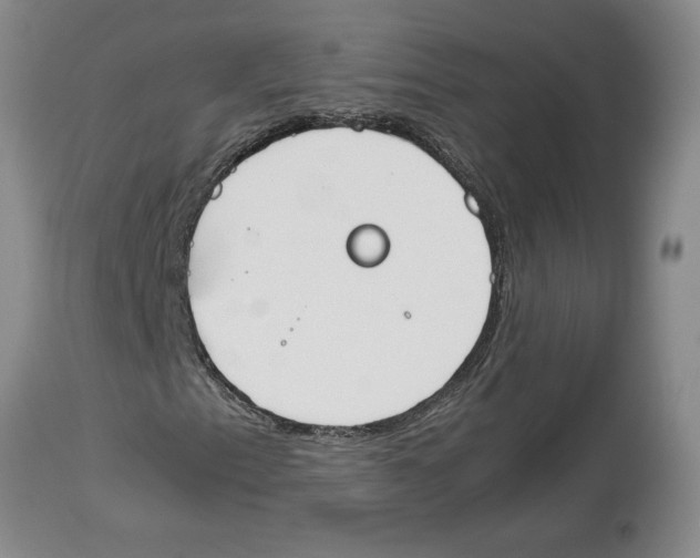 X0000113931153200910231915