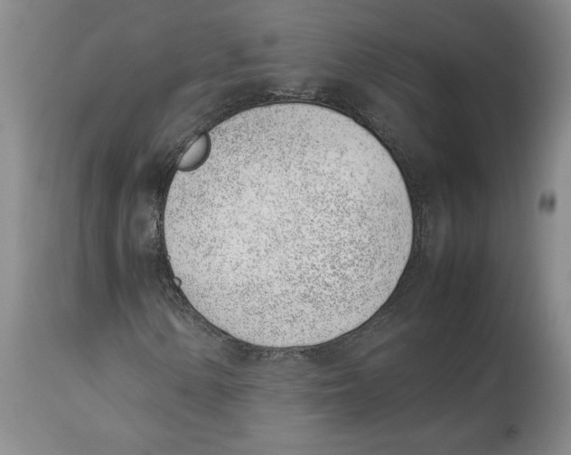 X0000113931154200910231915