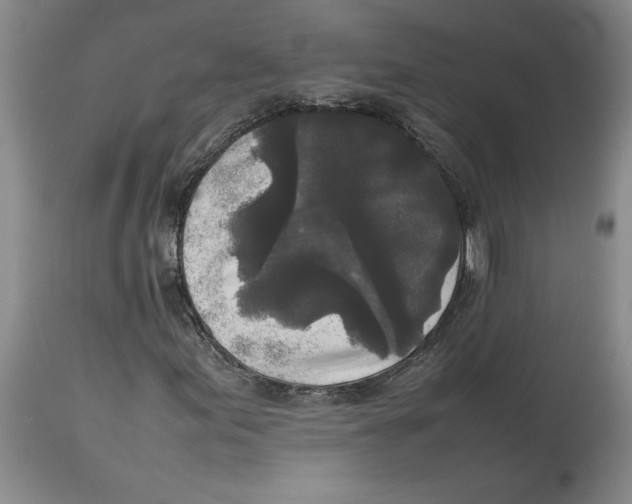 X0000113931155200910231915
