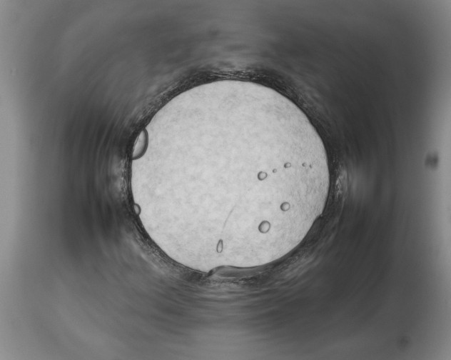 X0000113931156200910231915