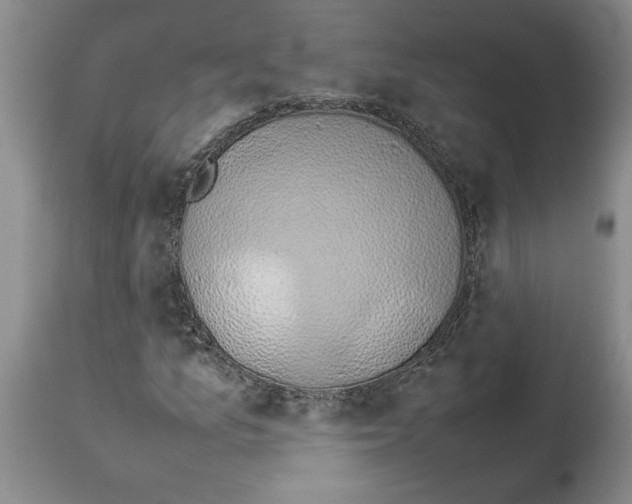 X0000113931157200910231915