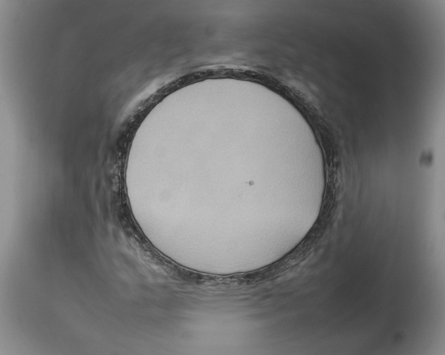 X0000113931159200910231915