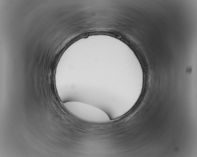 X0000113931161200910231915