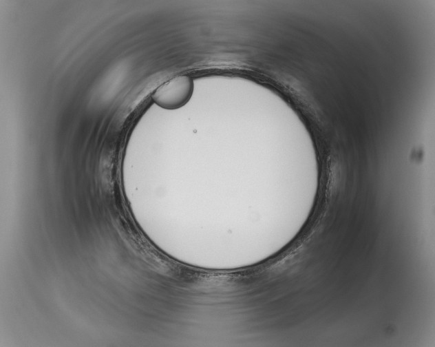 X0000113931162200910231915
