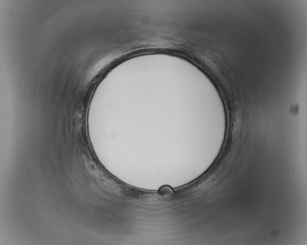 X0000113931163200910231915