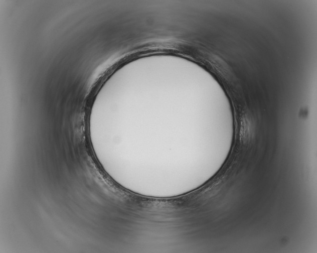 X0000113931164200910231915
