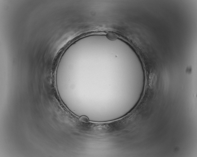 X0000113931165200910231915