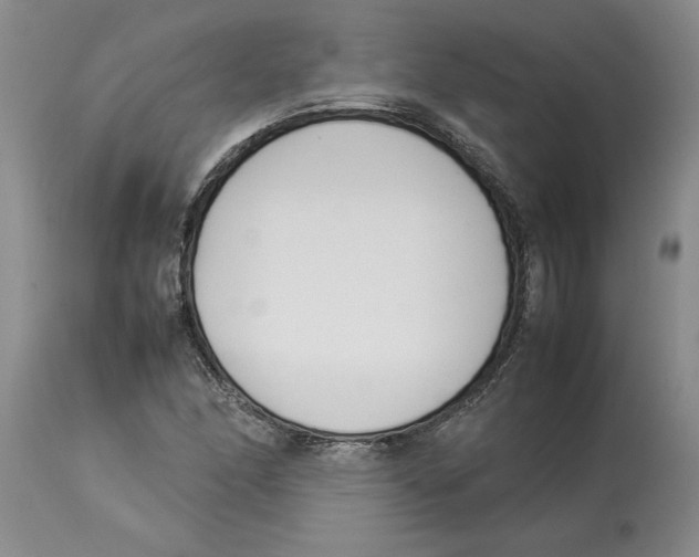 X0000113931166200910231915