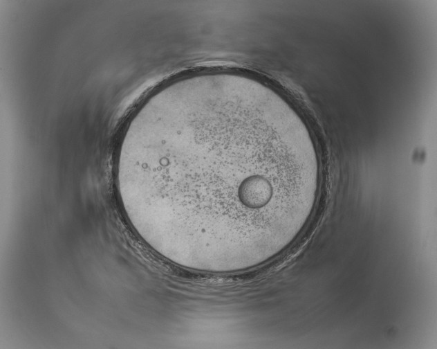 X0000113931167200910231915