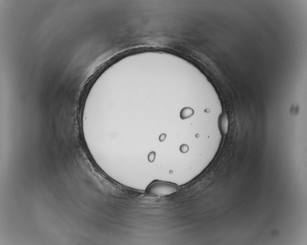 X0000113931168200910231915