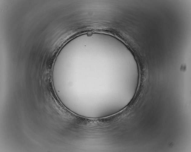 X0000113931169200910231915