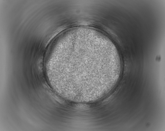 X0000113931170200910231915